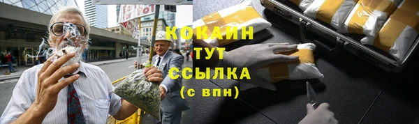 a pvp Богданович