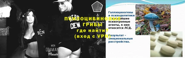 a pvp Богданович