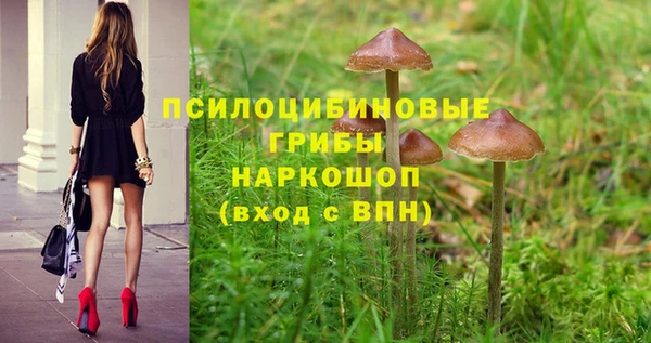 ПСИЛОЦИБИНОВЫЕ ГРИБЫ Богородицк