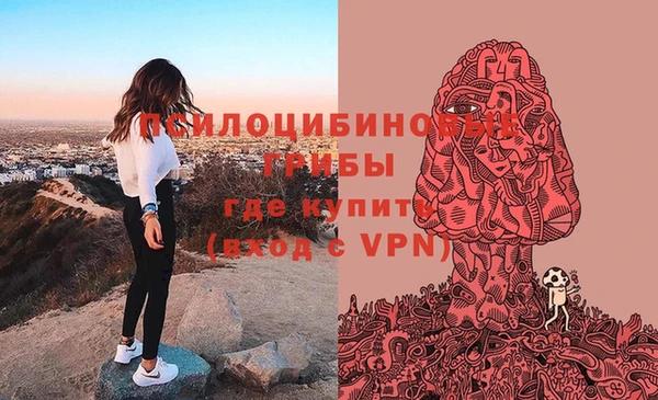 a pvp Богданович