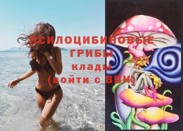a pvp Богданович