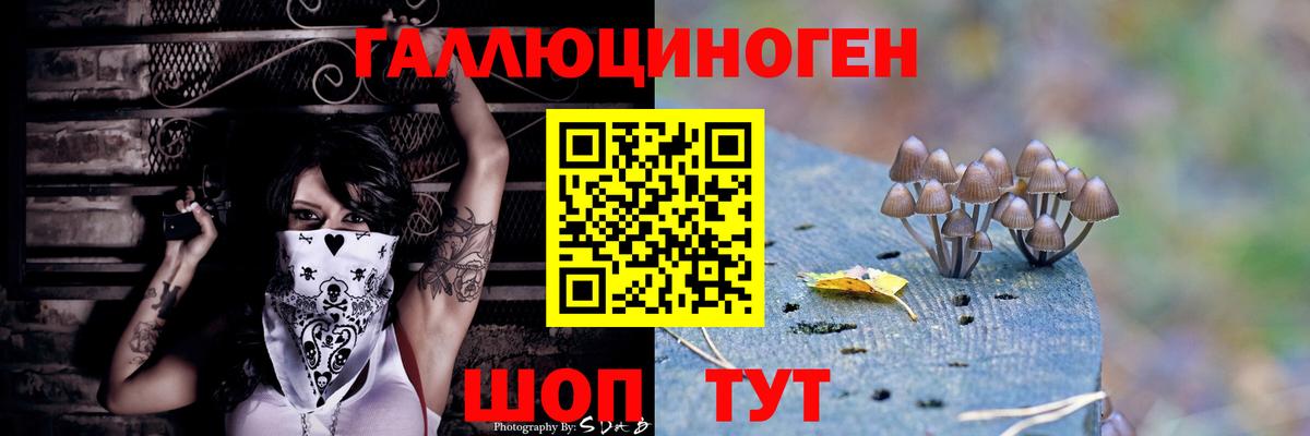Псилоцибиновые грибы GOLDEN TEACHER  Вход с VPN  Галлюциногенные грибы мицелий  Маркс 